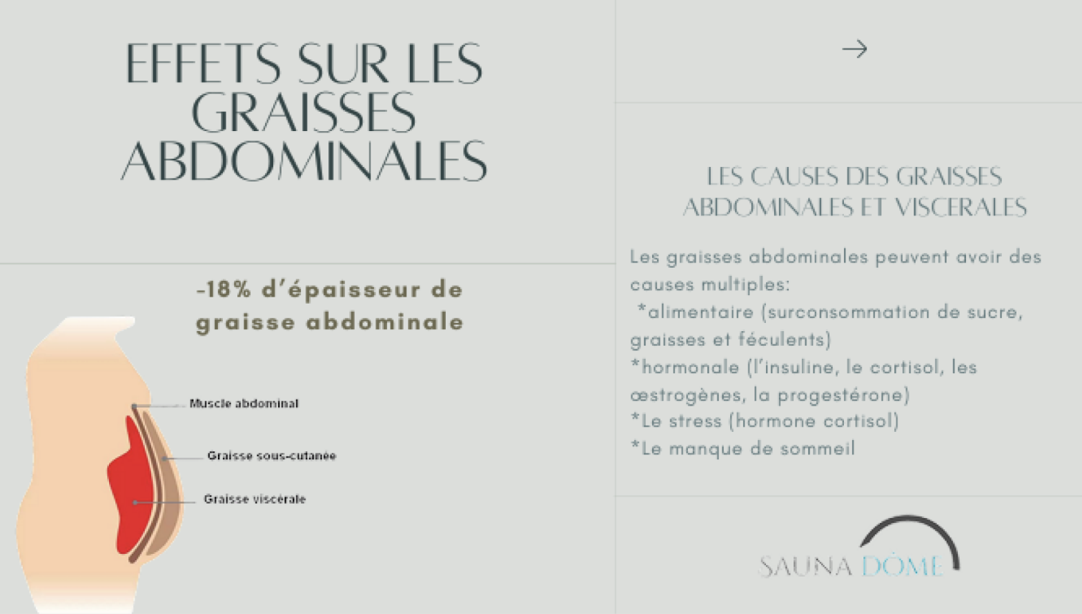 Effets sur la graisse abdominale